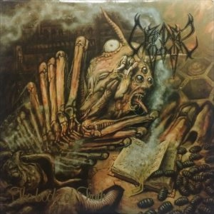 DISGRACE (METAL/FINLAND) / GREY MISERY