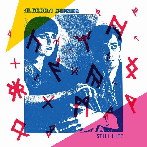 ALGEBRA SUICIDE / STILL LIFE