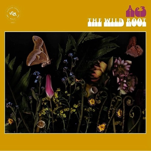 AE3 (ALAN EVANS TRIO) / WILD ROOT