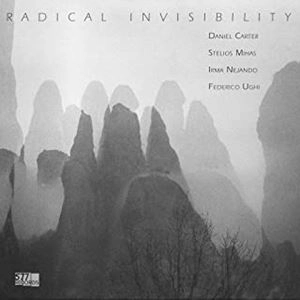DANIEL CARTER / ダニエル・カーター / RADICAL INVISIBILITY