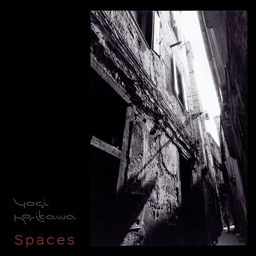 YOSI HORIKAWA  / SPACES