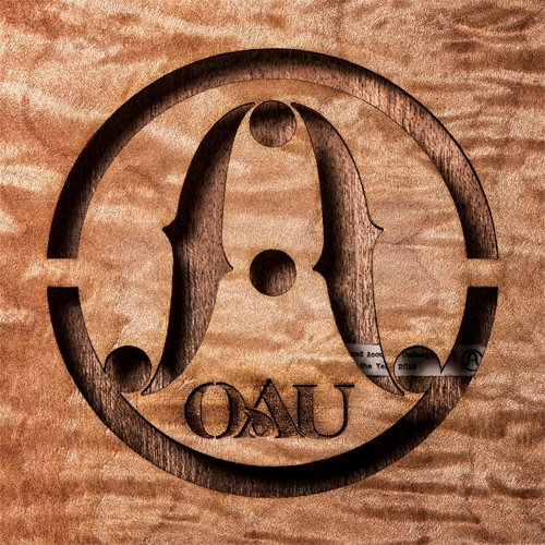 OAU (OVERGROUND ACOSTIC UNDERGROUND) / OAU（限定生産アナログ盤）