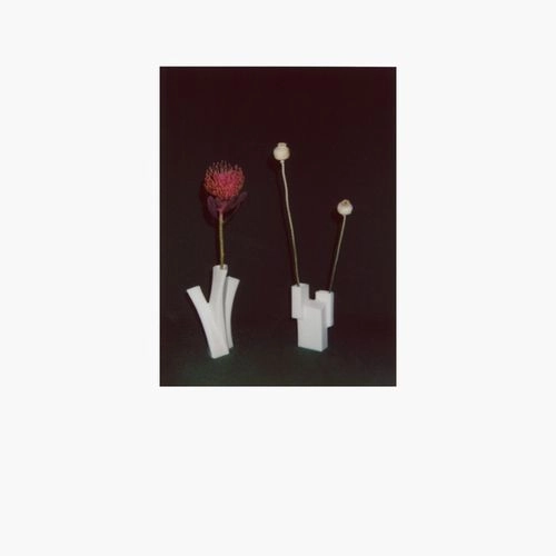 FELICIA ATKINSON / フェリシア・アトキンソン / THE FLOWER AND THE VESSEL (LP)