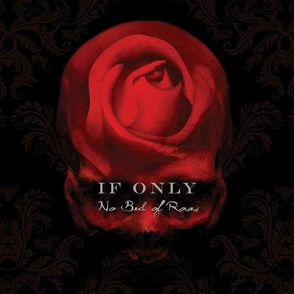IF ONLY / イフ・オンリー / NO BED OF ROSES