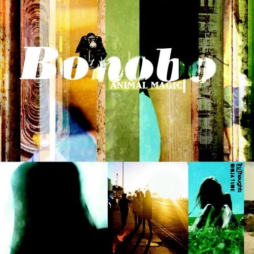 BONOBO / ボノボ / ANIMAL MAGIC (LTD YELLOW VINYL)