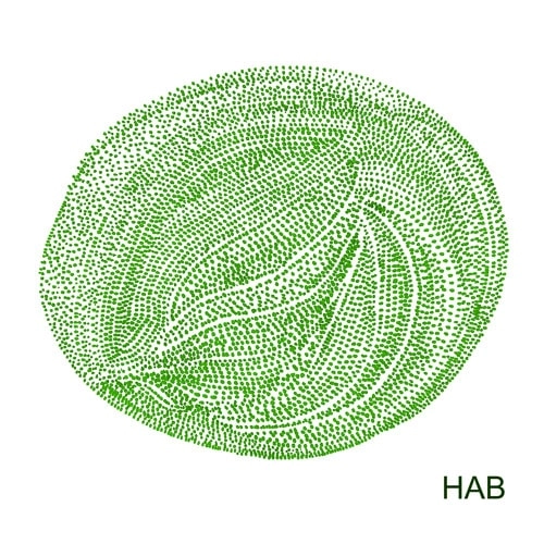 HAB (WORLD) / HAB / HAB