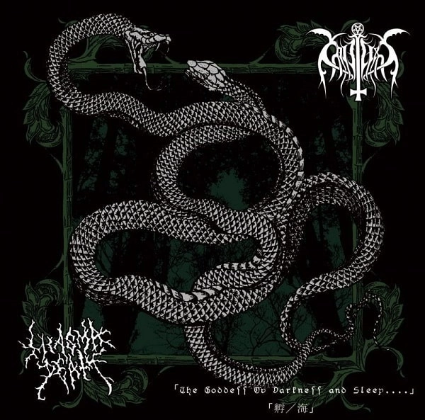 CATAPLEXY / MIASMA DEATH / THE GODDESS OV DARKNESS AND SLEEP.... 孵 / 海