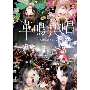 ぜんぶ君のせいだ。 / Zepp Tokyo ワンマンLIVE～革鳴共唱～