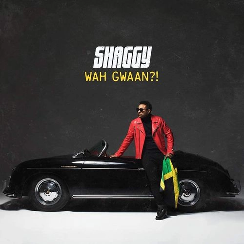 SHAGGY / シャギー / WAH GWAAN?! (2LP)