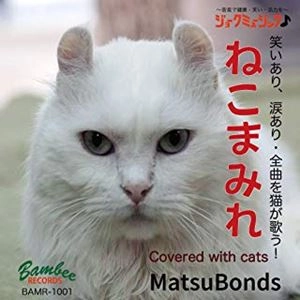 MatsuBonds / ねこまみれ