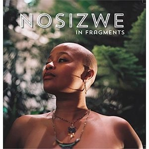 NOSIZWE / ノシズウェ / IN FRAGMENTS