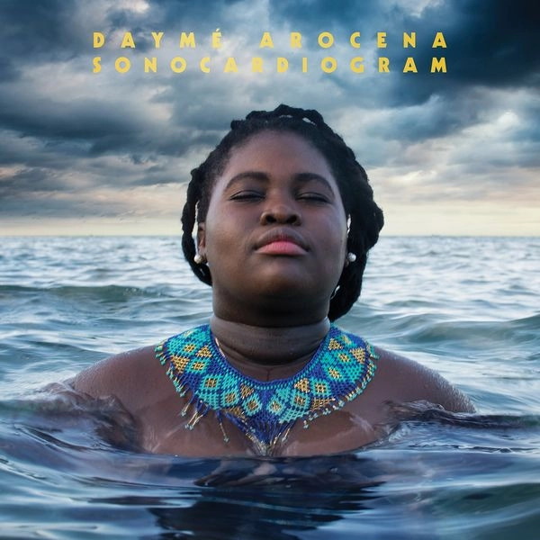 DAYME AROCENA / ダイメ・アロセナ / ソノカーディオグラム 
