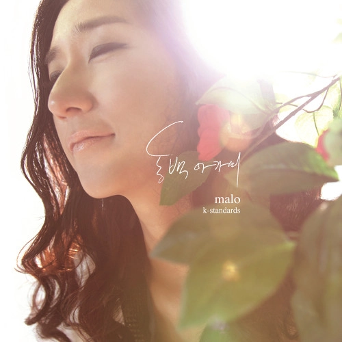 MALO(JAZZ VOCAL) / K-STANDARDS