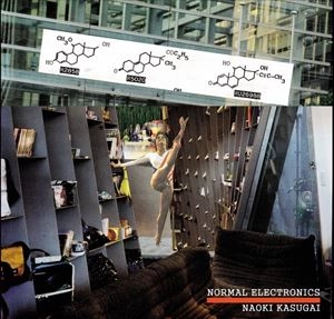 NAOKI KASUGSAI / 春日井直樹 / NORMAL ELECTRONICS