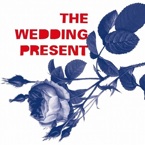 WEDDING PRESENT / ウェディング･プレゼント / トミー・30  / TOMMY 30