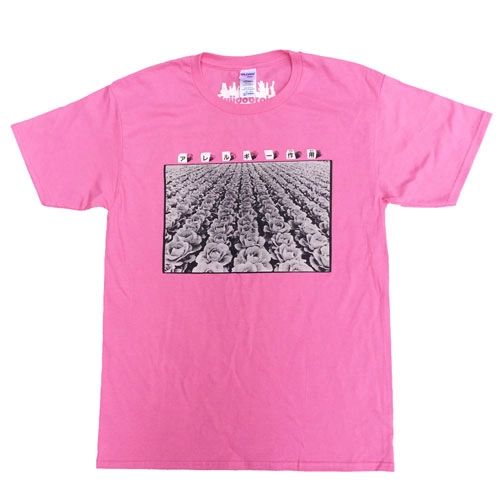 ALLERGY / アレルギー / アレルギー作用 T SHIRT AZALEA/M