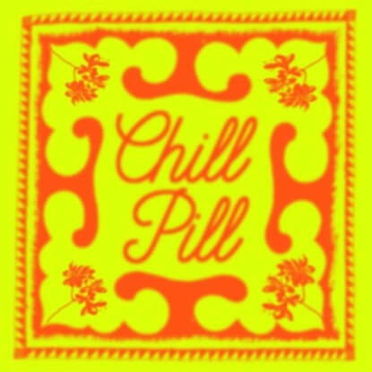 V.A. / オムニバス / PUBLIC POSSESSION CHILL PILL