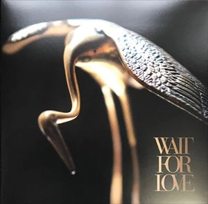PIANOS BECOME THE TEETH / ピアノスビカムザティース / WAIT FOR LOVE
