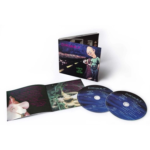 DINOSAUR JR. / ダイナソー・ジュニア / ホエアー･ユー･ビーン（デラックス･エディション） (2CD) / WHERE YOU BEEN