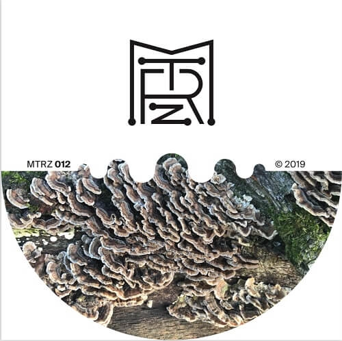 ION LUDWIG / BETTER FUTURE TO LONG EP (VINYL ONLY/180G)