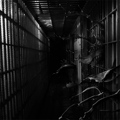 REGIONAL JUSTICE CENTER / INSTITUTION (12")