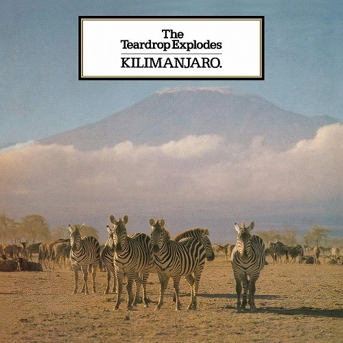 TEARDROP EXPLODES / ティアドロップ・エクスプローズ  / KILIMANJARO (LP)