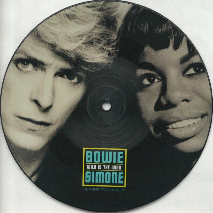 DAVID BOWIE & NINA SIMONE / WILD IS THE WIND(PICTURE DISC)