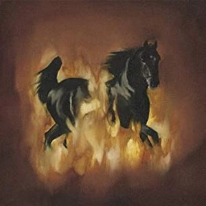 BESNARD LAKES / ベスナード・レイクス / THE BESNARD LAKES ARE THE DARK HORSE / BESNARD LAKES ARE THE DARK HORSE