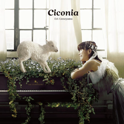 ERI UENOYAMA / 上野山英里 / Ciconia
