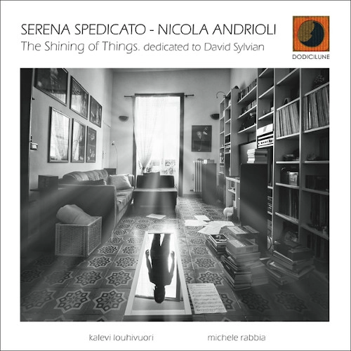 SERENA SPEDICATO / SHINING OF THINGS, DEDICATED TO DAVID SYLVIAN