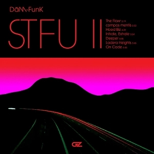 DAM-FUNK / デイム・ファンク / STFU II