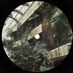 ZOO LOOK / SIMILAR STEPS EP
