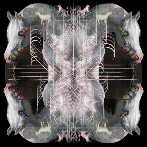 EARTHEATER / アースイーター / RIP CHRYSALIS (CASSETTE)