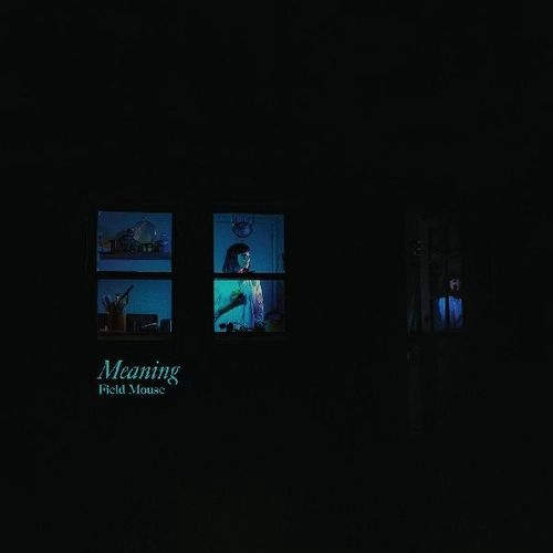 FIELD MOUSE / フィールド・マウス / MEANING (CASSETTE)