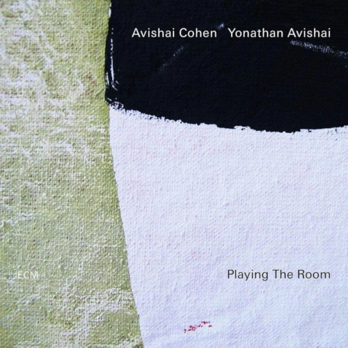 AVISHAI COHEN (TRUMPET) / アヴィシャイ・コーエン / PLAYING THE ROOM