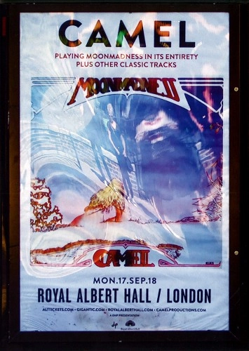CAMEL / キャメル / LIVE AT THE ROYAL ALBERT HALL 2018: DVD(NTSC)
