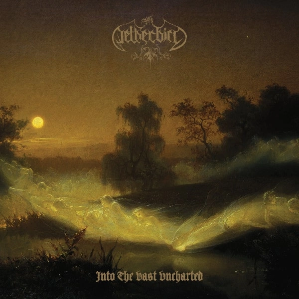 NETHERBIRD / INTO THE VAST UNCHARTED