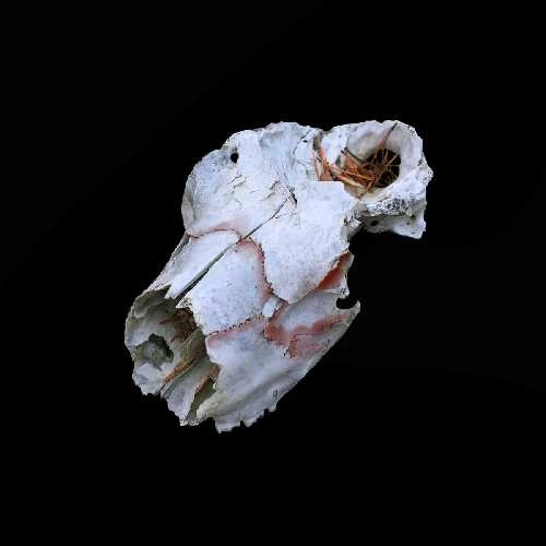 VLADISLAV DELAY / ヴラディスラフ・ディレイ / LP- UNTITLED - CIRCA 2014