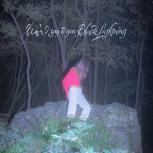 COMMON HOLLY / コモン・ホーリー / WHEN I SAY TO YOU BLACK LIGHTNING (LP)
