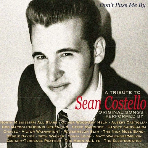 V.A. (DON'T PASS ME BY) / DON'T PASS ME BY.A TRIBUTE