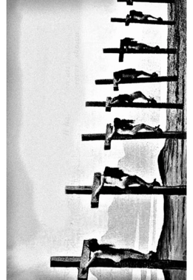 CIRCLE OF SHIT / LADDER TO GOD
