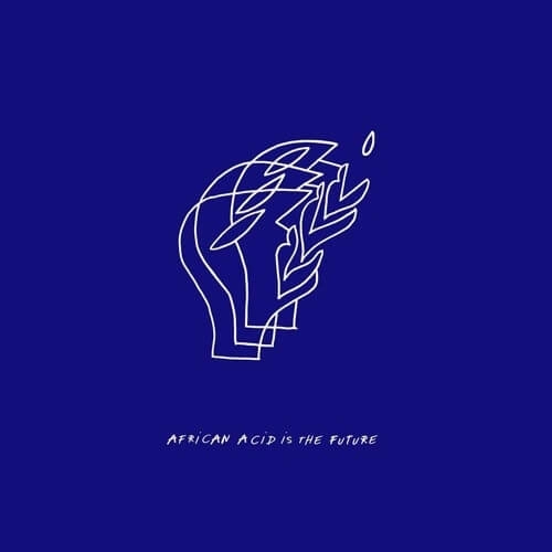 LES FILLES DE ILLIGHADAD & EDMONY KRATER / AFRICAN ACID IS THE FUTURE - AMBIANCE II