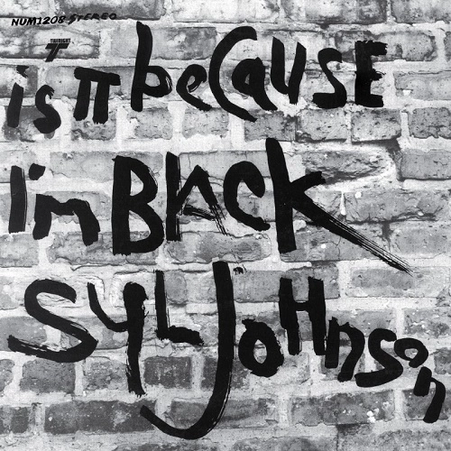 SYL JOHNSON / シル・ジョンソン / IS IT BECAUSE I'M BLACK