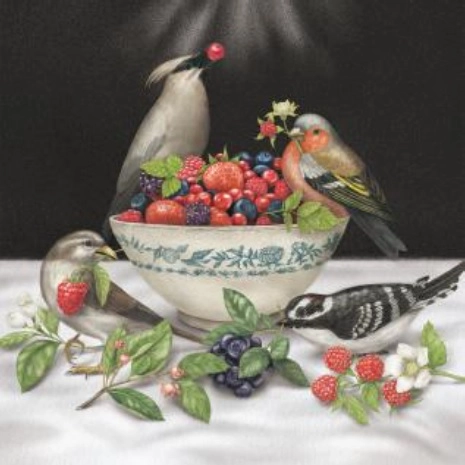 SPARROWS / Berries