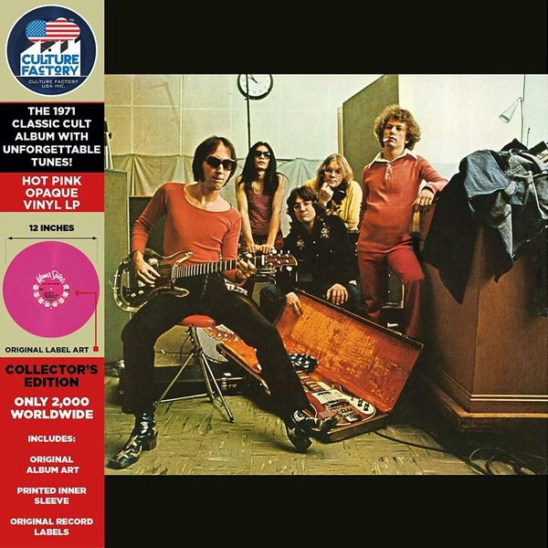 FLAMIN' GROOVIES / フレイミン・グルーヴィーズ / TEENAGE HEAD (PINK VINYL)
