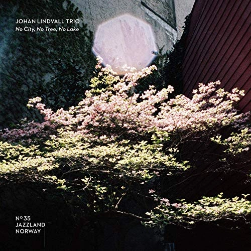 JOHAN LINDVALL / ヨハン・リンドヴァル / "No City, No Tree, No Lake"