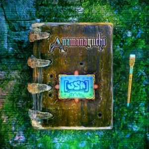 ANAMANAGUCHI / [USA] (2LP)