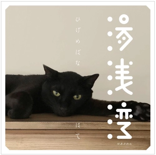 湯浅湾 / ひげめばな/はて