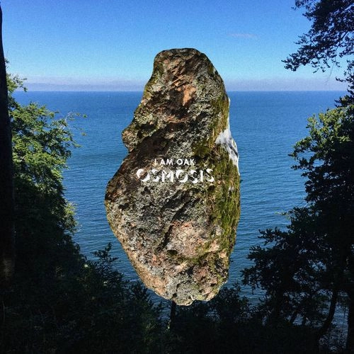 I AM OAK / アイム・オーク / OSMOSIS (CD)