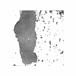 SOCIETE ANONOMIE / #1
